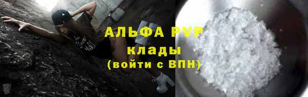 стафф Алексин