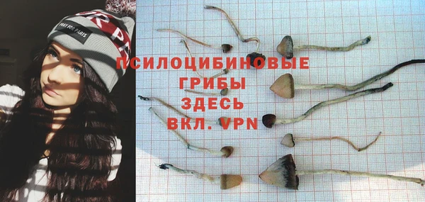 стафф Алексин