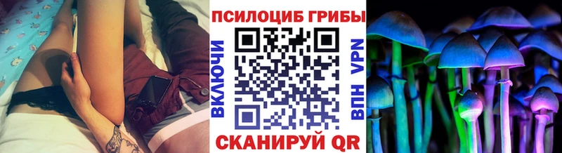 купить   кракен зеркало  Псилоцибиновые грибы ЛСД  Ноябрьск 